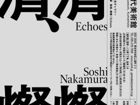 GⅢ-Vol.158中村壮志展「潸潸、燦燦 | Echoes」熊本市現代美術館