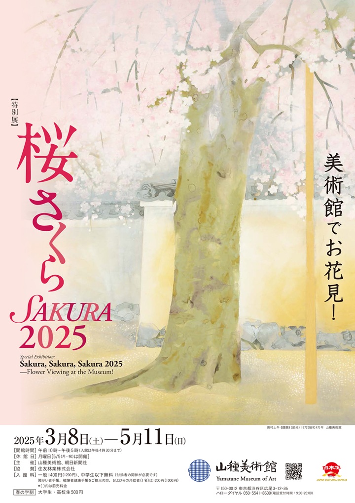 特別展「桜 さくら SAKURA 2025―美術館でお花見！―」山種美術館