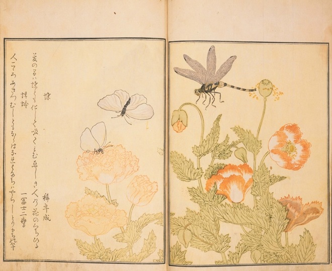 喜多川歌麿『画本虫撰』天明8年（1788）　千葉市美術館蔵