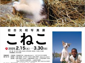 岩合光昭写真展「こねこ」福井市美術館（アートラボふくい）