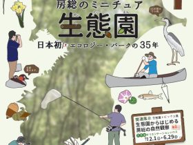 春の展示「房総のミニチュア「生態園」～日本初エコロジー・パークの３５年～」千葉県立中央博物館