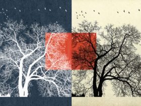 山口史男 「植物群の意匠」京都写真美術館 ギャラリー・ジャパネスク