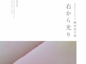 「藤田道子展　右から光り」さいたま市プラザノース / ノースギャラリー