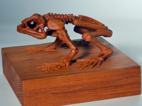 「ヒョウホンカエル」H8.5×W13.1×D13　欅、彩色