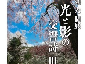 岩瀬光 個展「光と影の交響詩Ⅲ」ヒルトピア アートスクエア