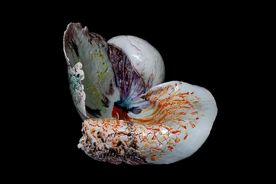 Kentaro Kawabata | Batista 2 | 2020 | Courtesy of the artist and Nonaka-Hill　©Kentaro Kawabata