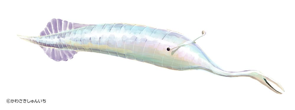 特別展「大絶滅展―生命史のビッグファイブ」国立科学博物館