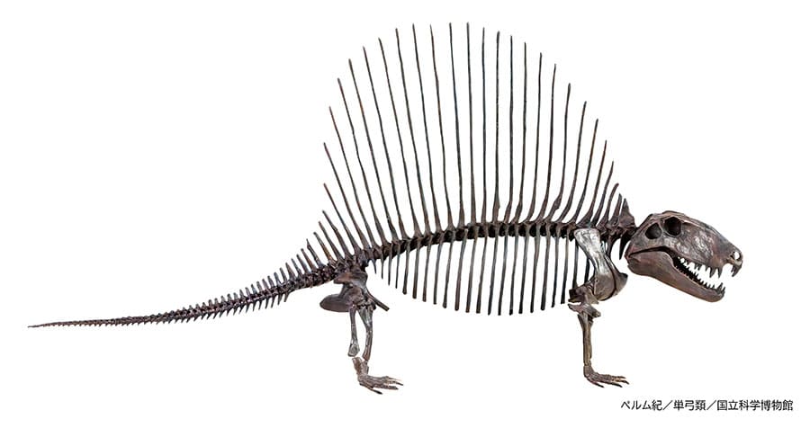 特別展「大絶滅展―生命史のビッグファイブ」国立科学博物館