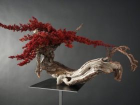 藤田茂男　ドライ盆栽®　赤龍　　　 盆樹：黒松 枝葉：プリザーブド仕立てのプロクンベンスオーレアナナ 赤 サイズ：幅 55.0 × 奥行 41.0 × 高さ48.0 ㎝ スタンド：鉄製　幅 30.0 × 奥行 30.0 × 高さ 100.0 ㎝