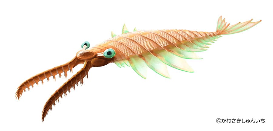 特別展「大絶滅展―生命史のビッグファイブ」国立科学博物館