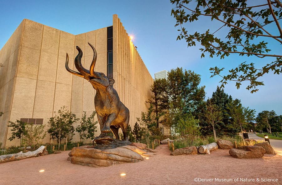 特別展「大絶滅展―生命史のビッグファイブ」国立科学博物館