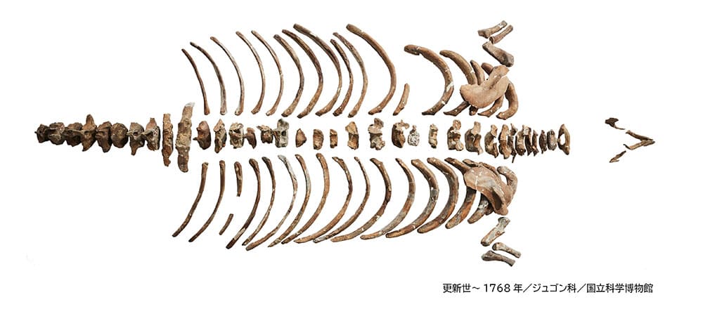 特別展「大絶滅展―生命史のビッグファイブ」国立科学博物館