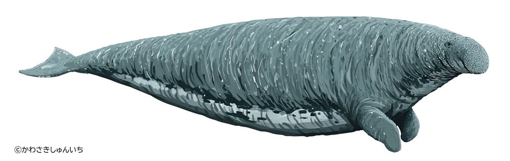 特別展「大絶滅展―生命史のビッグファイブ」国立科学博物館