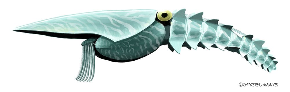 特別展「大絶滅展―生命史のビッグファイブ」国立科学博物館