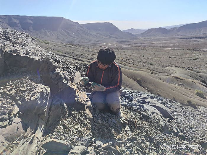 特別展「大絶滅展―生命史のビッグファイブ」国立科学博物館