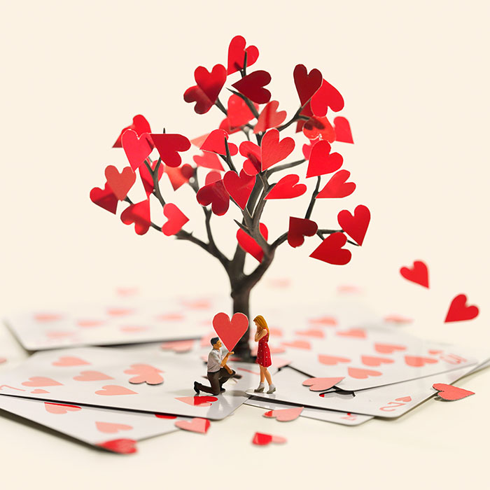 プロポーズの切り札　©Tatsuya Tanaka