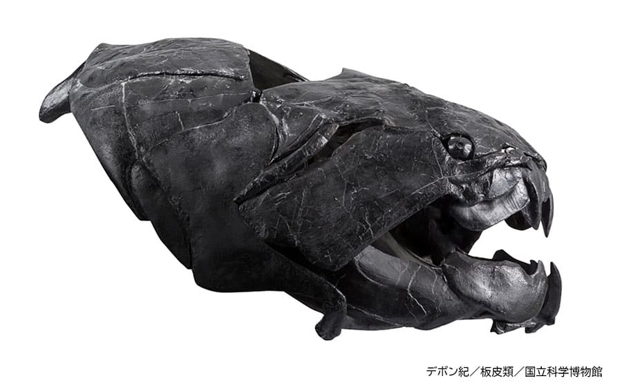 特別展「大絶滅展―生命史のビッグファイブ」国立科学博物館