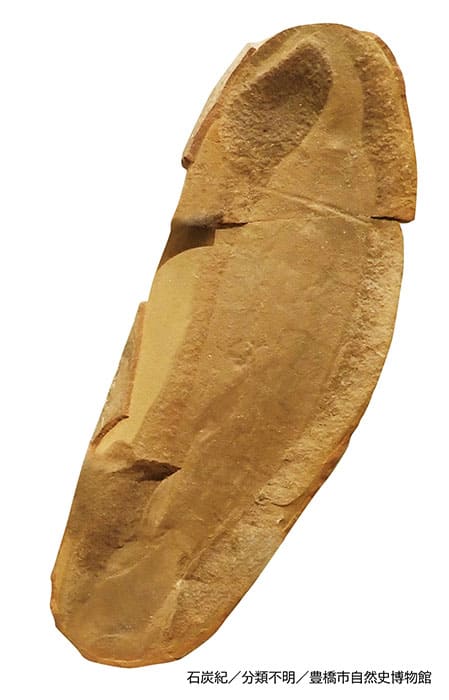 特別展「大絶滅展―生命史のビッグファイブ」国立科学博物館