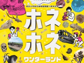 「ホネホネ・ワンダーランド－骨の不思議を探る－」帝京大学総合博物館