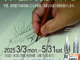 第３８回企画展「大学で描く－学び、記録する学術スケッチ２－」弘前大学資料館