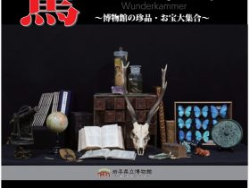 テーマ展「驚異の部屋～博物館の珍品・お宝大集合～」岩手県立博物館