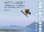 第41回オープン収蔵展示「しまの遺跡の魅力探求事業成果展 -海を渡った人々の暮らし-」壱岐市立一支国博物館