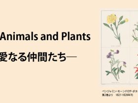 「Dear Animals and Plants ―親愛なる仲間たち―」群馬県立館林美術館