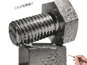 「鉛筆画 大森浩平展　280時間かけて…」長島美術館