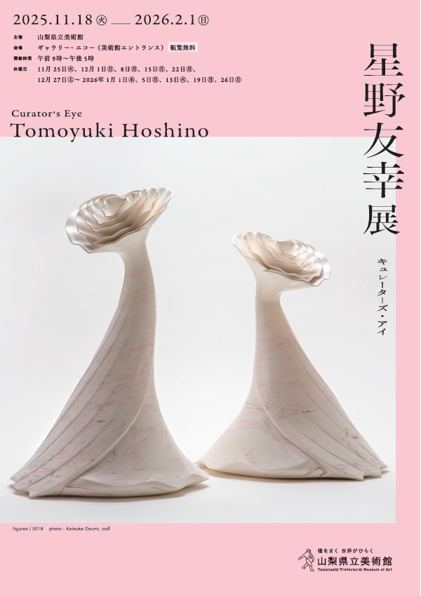 「キュレーターズ・アイ　星野友幸展」山梨県立美術館