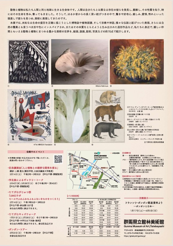 「Dear Animals and Plants ―親愛なる仲間たち―」群馬県立館林美術館