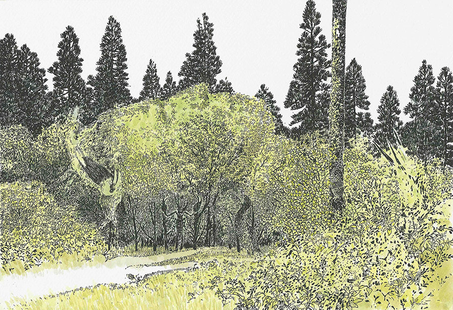 『もりのえほん』より　1977年
©空想工房　画像提供：津和野町立安野光雅美術館