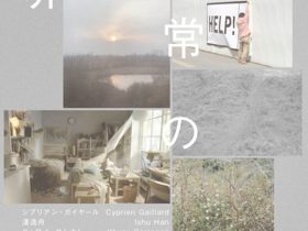 「非常の常」国立国際美術館
