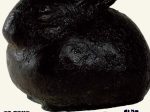 「黙然たる反骨 安藤照 - 没後・戦後80年　忠犬ハチ公像をつくった彫刻家 - 」渋谷区立松濤美術館