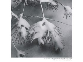 企画展「大阪府20世紀美術コレクション The beautiful earth－生命の大地－」東大阪市民美術センター