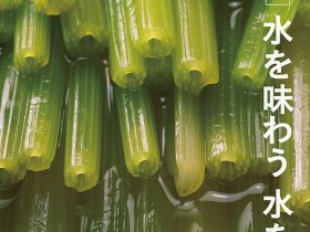 「水を味わう 水を纏う “Savor water, Embracing water”」ISSEY MIYAKE GINZA | CUB