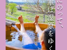 大橋史明 「春風にのって、汽車は湿原をゆく」キヤノンギャラリー 銀座