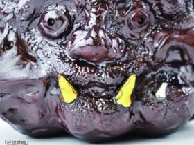 「今村能章 個展」桃青京都ギャラリー