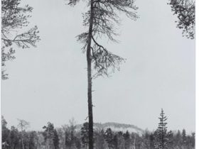 《（25-1）ユートゥア川 イナリ、フィンランド、2月》 51.5×40cm　雁皮紙、ファブリアーノ紙、ドライポイント、雁皮刷り　ed.20