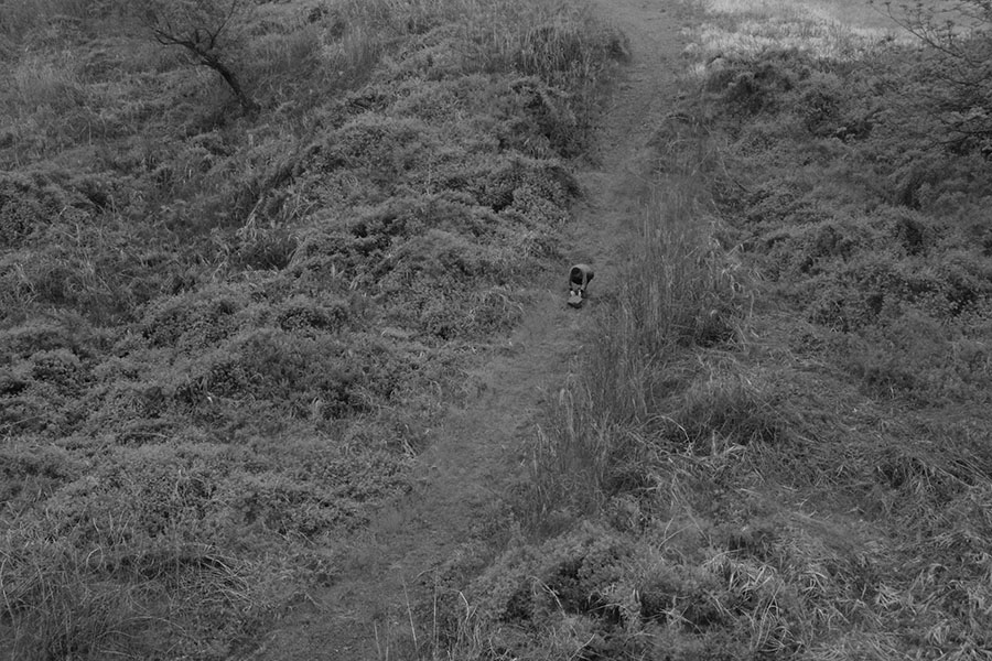 潘逸舟《わたしは家を運び、家はわたしを移す》2019年　ダブルチャンネル・ヴィデオ（モノクロ、サウンド）　国立国際美術館蔵
(C)Ishu Han