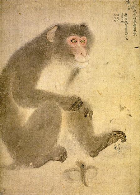 重要文化財　円山応挙《写生図巻 ( 乙巻 ） 》（部分）1770-72年　千總ホールディングス蔵　