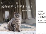写真展「岩合光昭の世界ネコ歩き　ヨーロッパの空の下」大丸ミュージアム〈神戸〉