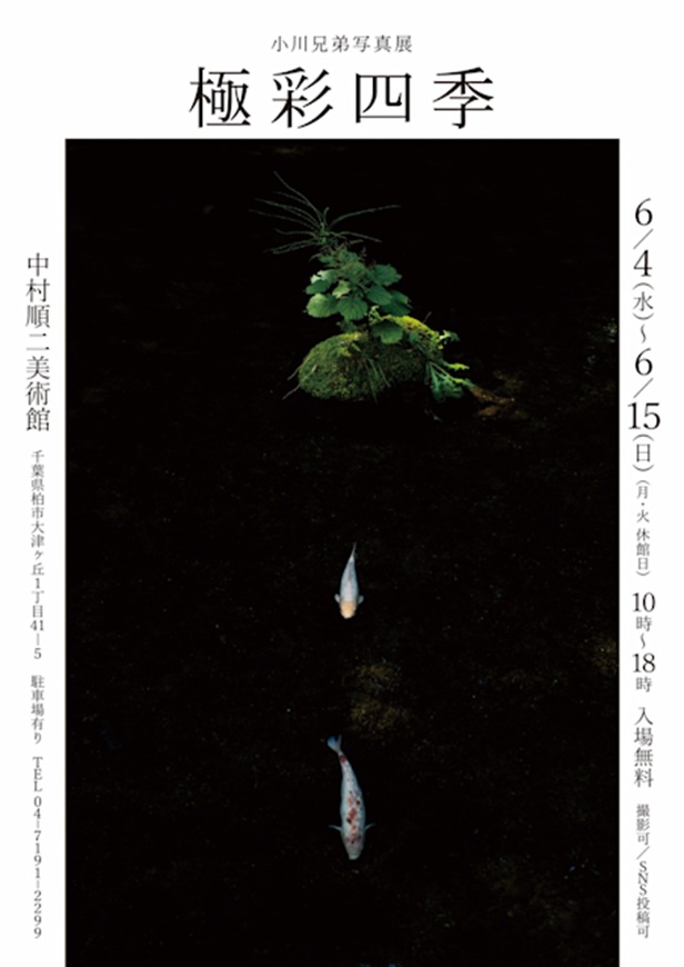 小川兄弟 「極彩四季」中村順二美術館