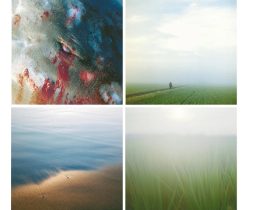 「第50回 2025 JPS展」東京都写真美術館