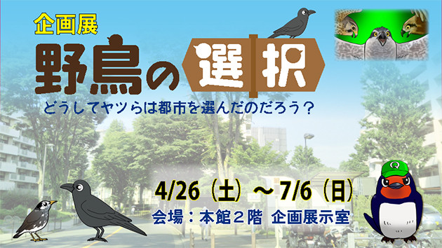 「野鳥の選択～どうしてヤツらは都市を選んだのだろう？～」府中市郷土の森博物館