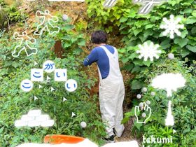 平山匠 「ここがいい」東葛西1-11-6-A倉庫