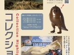 「コレクション・ハイライト」千葉県立美術館