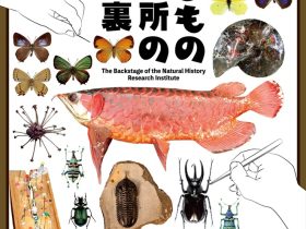 企画展「いきもの研究所の舞台裏」「食と農」の博物館