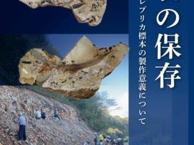 スポット展「化石の保存　化石レプリカ標本の制作意義について」名古屋大学博物館