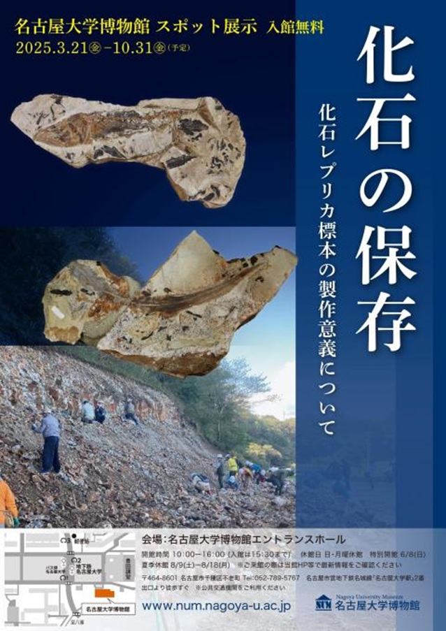 スポット展「化石の保存　化石レプリカ標本の制作意義について」名古屋大学博物館