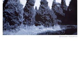 木村敏也 「ALL LIVING THINGS」JITSUZAISEI